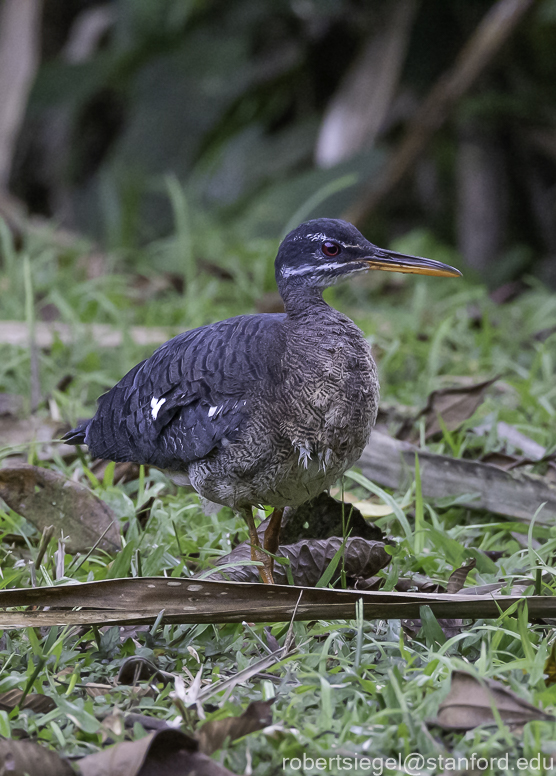 ecuador